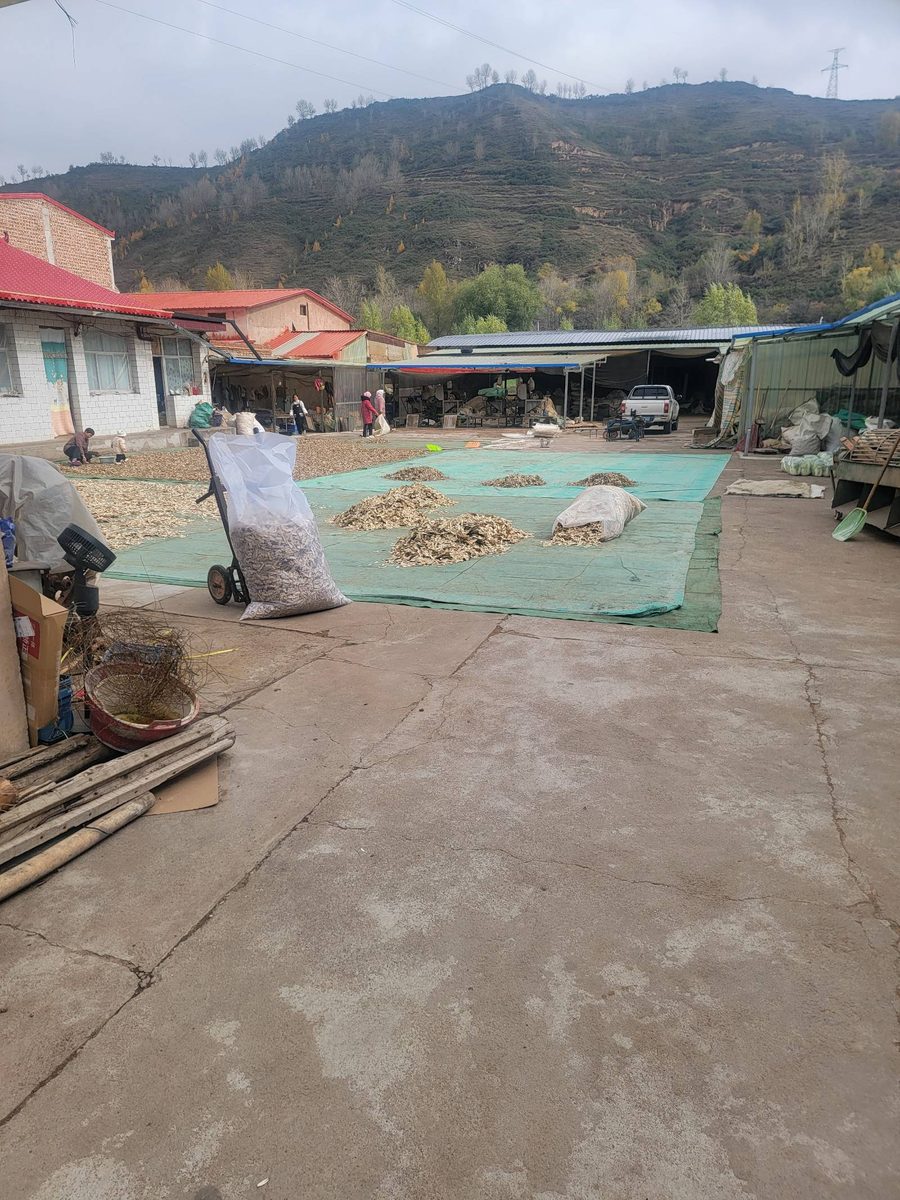 渭源山间晾晒场全景 - 天成中药材合作社产地加工基地